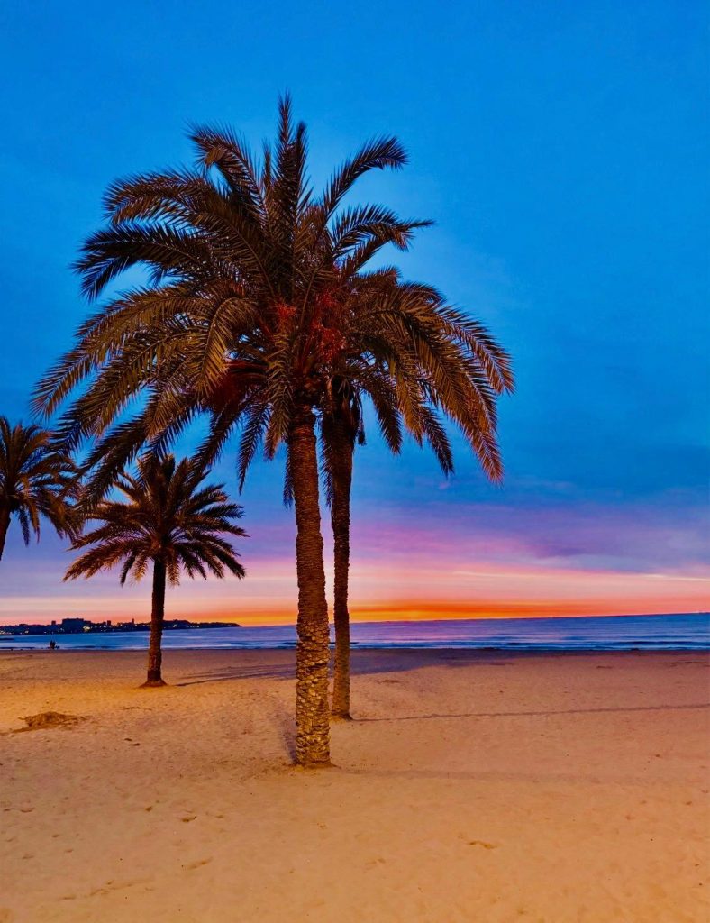 whatsapp image 2025 12 20 at 11.48.40